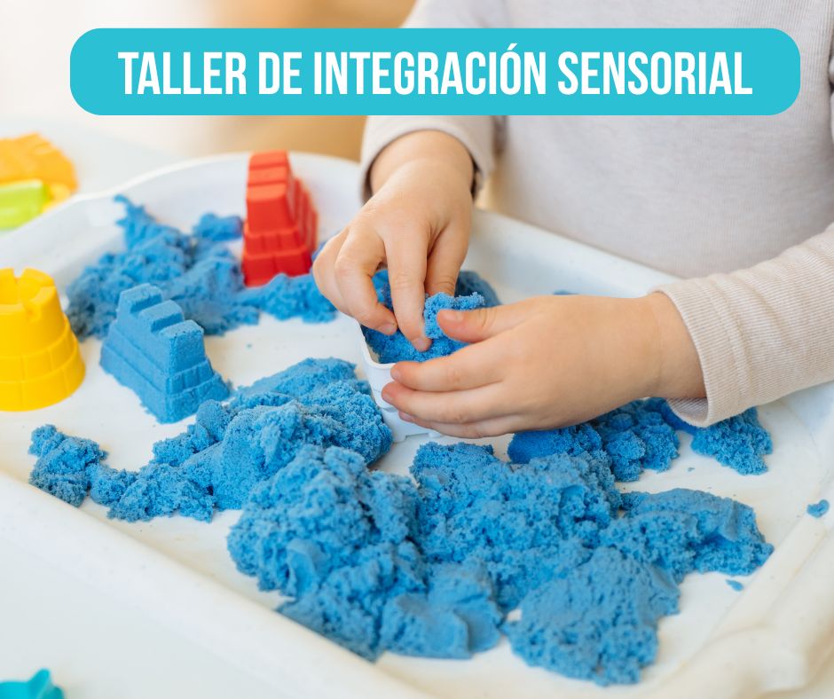 Taller de Integración Sensorial